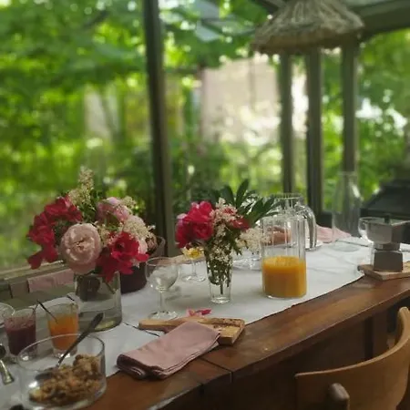 La Vispa Ceresa Bed and breakfast Castellinaldo