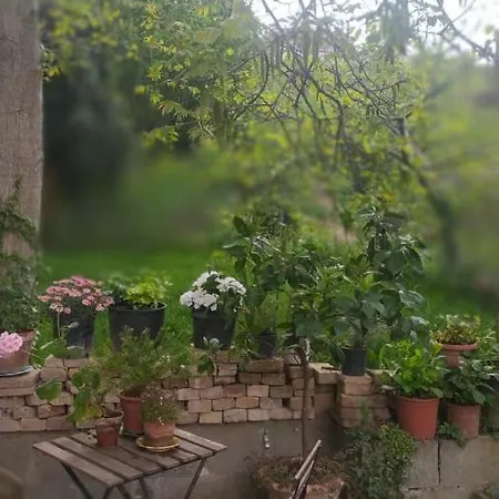 Bed and Breakfast La Vispa Ceresa *